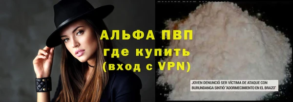 сатива Алексеевка