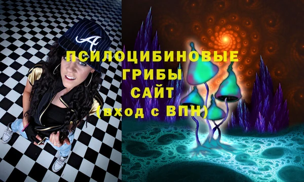 сатива Алексеевка