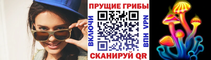 гидра ссылка  Пролетарск  Галлюциногенные грибы Psilocybine cubensis 